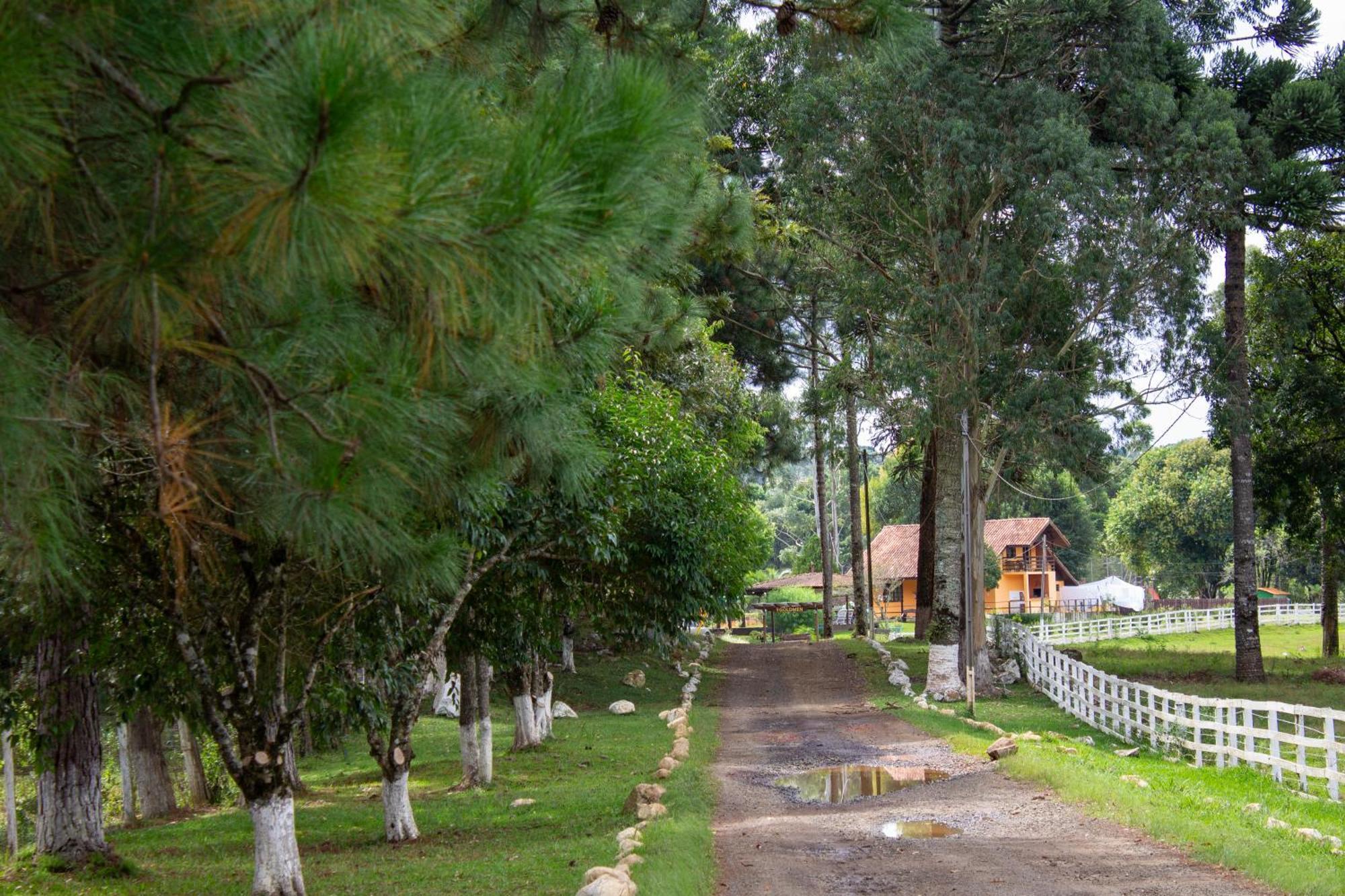 Hotel Goldmen Select Guarapuava Zewnętrze zdjęcie